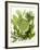 Herb Sauce with Fresh Herbs (Frankfurt Sauce)-Walter Cimbal-Framed Photographic Print