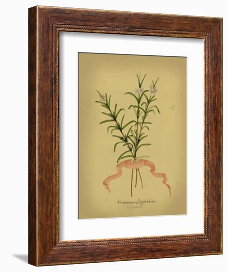Herb Series III-null-Framed Premium Giclee Print