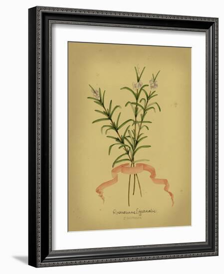 Herb Series III-null-Framed Art Print