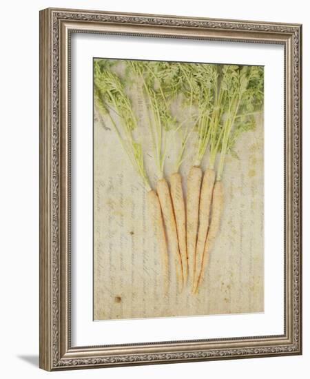 Herb Still Life III-Irena Orlov-Framed Art Print