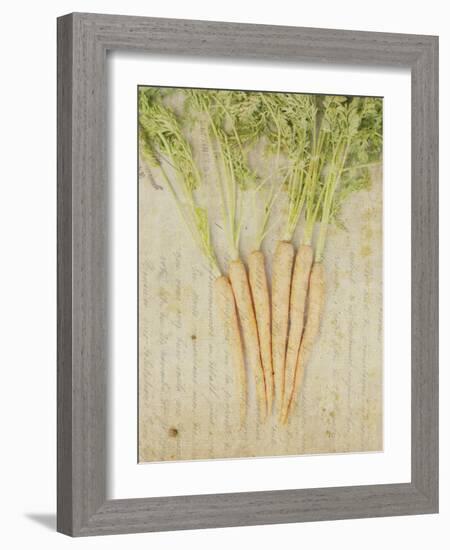 Herb Still Life III-Irena Orlov-Framed Art Print