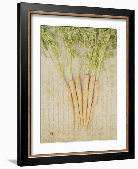 Herb Still Life III-Irena Orlov-Framed Art Print