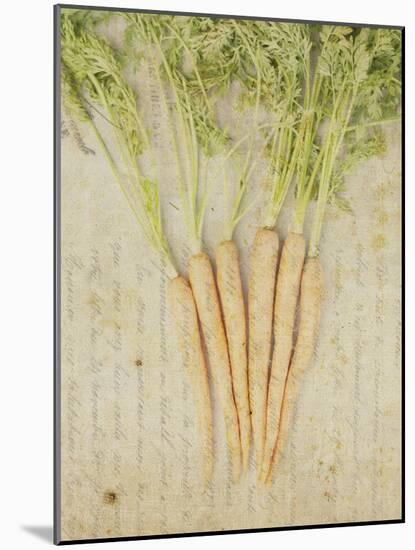 Herb Still Life III-Irena Orlov-Mounted Art Print