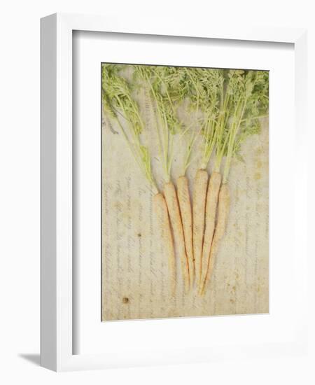Herb Still Life III-Irena Orlov-Framed Premium Giclee Print