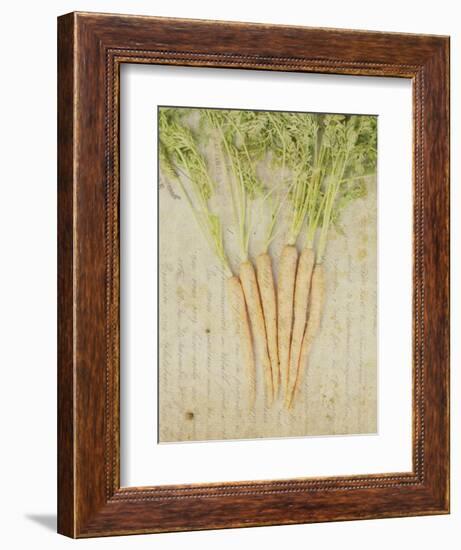 Herb Still Life III-Irena Orlov-Framed Art Print