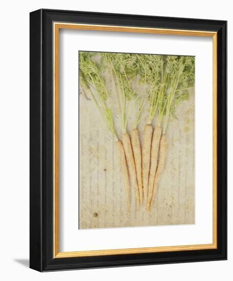 Herb Still Life III-Irena Orlov-Framed Art Print