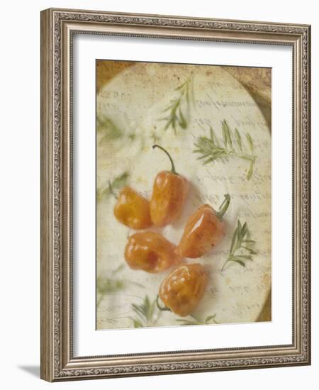 Herb Still Life VI-Irena Orlov-Framed Art Print