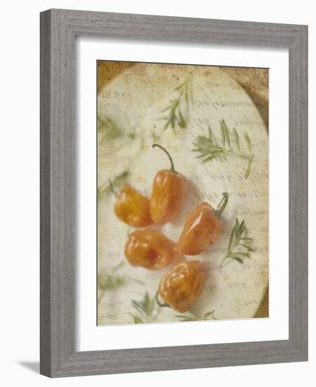 Herb Still Life VI-Irena Orlov-Framed Art Print