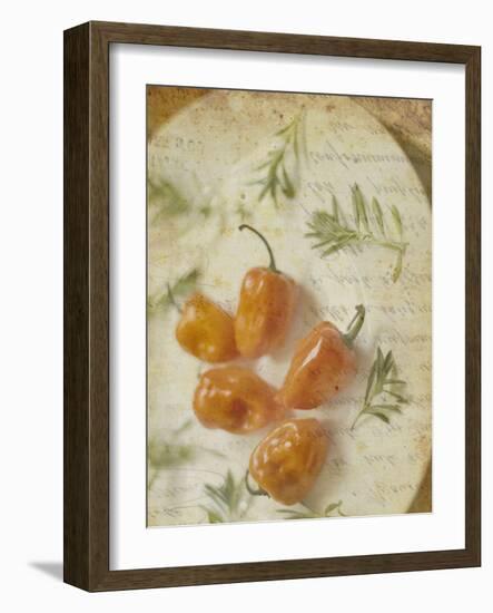 Herb Still Life VI-Irena Orlov-Framed Art Print