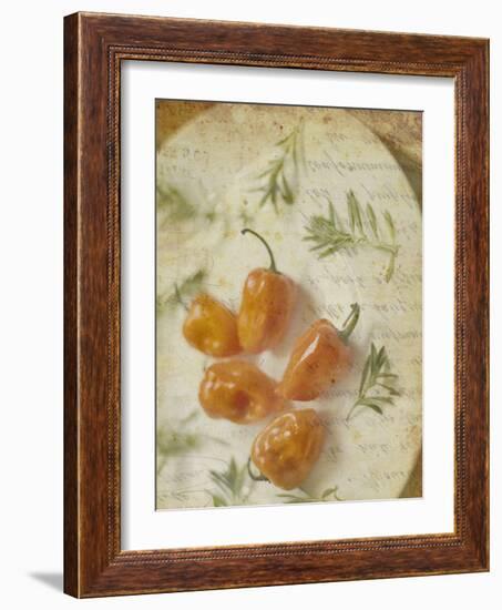 Herb Still Life VI-Irena Orlov-Framed Art Print