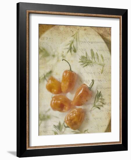 Herb Still Life VI-Irena Orlov-Framed Art Print