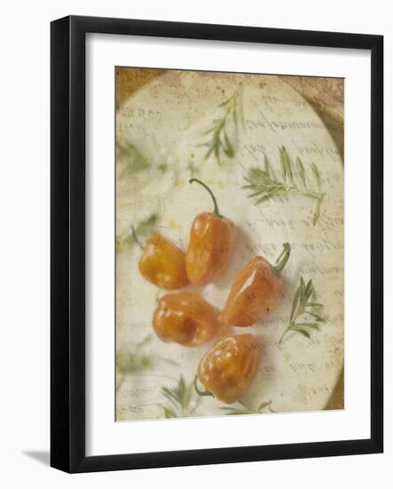 Herb Still Life VI-Irena Orlov-Framed Art Print