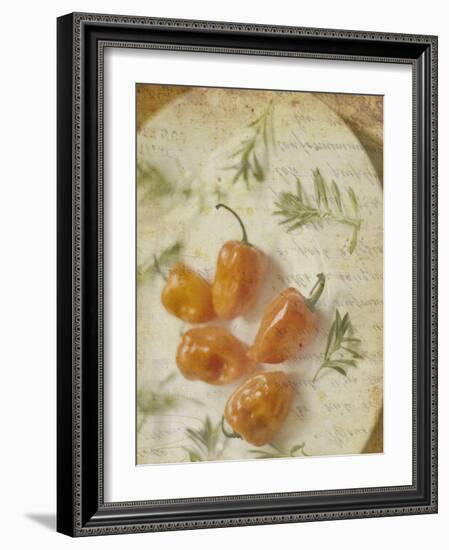 Herb Still Life VI-Irena Orlov-Framed Art Print