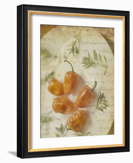 Herb Still Life VI-Irena Orlov-Framed Art Print