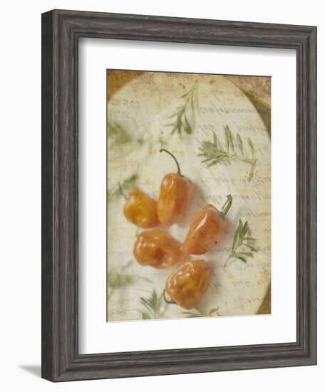 Herb Still Life VI-Irena Orlov-Framed Art Print