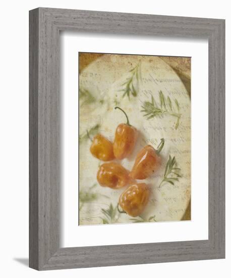 Herb Still Life VI-Irena Orlov-Framed Art Print