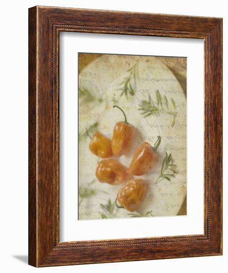 Herb Still Life VI-Irena Orlov-Framed Art Print