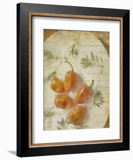 Herb Still Life VI-Irena Orlov-Framed Art Print