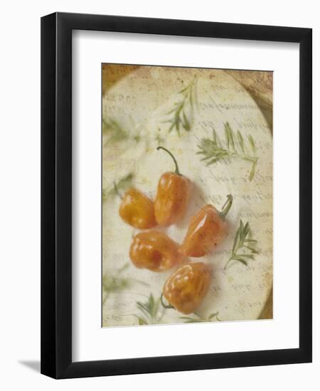 Herb Still Life VI-Irena Orlov-Framed Art Print