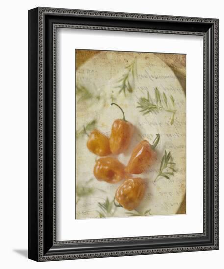 Herb Still Life VI-Irena Orlov-Framed Art Print