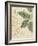 Herb Study I-Grace Popp-Framed Art Print