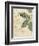 Herb Study I-Grace Popp-Framed Premium Giclee Print