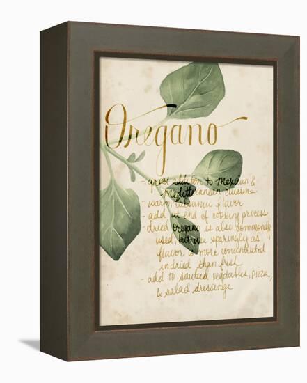 Herb Study III-Grace Popp-Framed Stretched Canvas