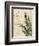 Herb Study IV-Grace Popp-Framed Premium Giclee Print