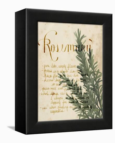 Herb Study IV-Grace Popp-Framed Stretched Canvas