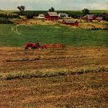 "Alfalfa Field,"July 1, 1948-Herb Zeck-Mounted Giclee Print