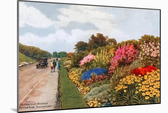 Herbaceous Border, Rotten Row, Southport-Alfred Robert Quinton-Mounted Giclee Print