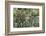 Herbaceous border-Pedro Silmon-Framed Photo