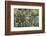 Herbaceous border-Pedro Silmon-Framed Photo