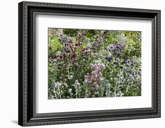 Herbaceous border-Pedro Silmon-Framed Photo