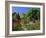 Herbaceous Borders in the Gardens, Crathes Castle, Grampian, Scotland, UK, Europe-Kathy Collins-Framed Photographic Print