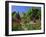 Herbaceous Borders in the Gardens, Crathes Castle, Grampian, Scotland, UK, Europe-Kathy Collins-Framed Photographic Print