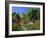 Herbaceous Borders in the Gardens, Crathes Castle, Grampian, Scotland, UK, Europe-Kathy Collins-Framed Photographic Print