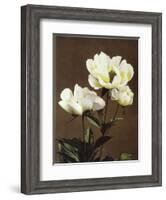 Herbaceous Peony, 19th Century-Ogawa Kazuma-Framed Giclee Print