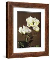 Herbaceous Peony, 19th Century-Ogawa Kazuma-Framed Giclee Print
