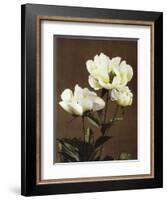 Herbaceous Peony, 19th Century-Ogawa Kazuma-Framed Giclee Print