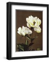 Herbaceous Peony, 19th Century-Ogawa Kazuma-Framed Giclee Print