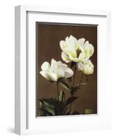 Herbaceous Peony, 19th Century-Ogawa Kazuma-Framed Giclee Print