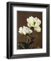 Herbaceous Peony, 19th Century-Ogawa Kazuma-Framed Giclee Print
