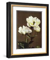 Herbaceous Peony, 19th Century-Ogawa Kazuma-Framed Giclee Print