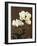 Herbaceous Peony, 19th Century-Ogawa Kazuma-Framed Giclee Print