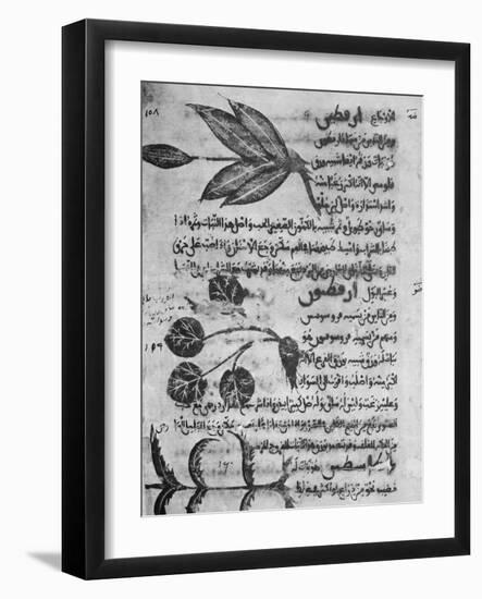 Herbal Medicine, 8th Century-Science Photo Library-Framed Photographic Print