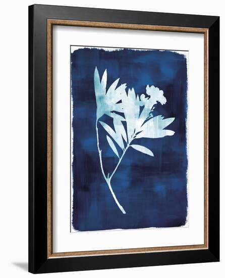 Herbarium - Alpha-Tania Bello-Framed Giclee Print