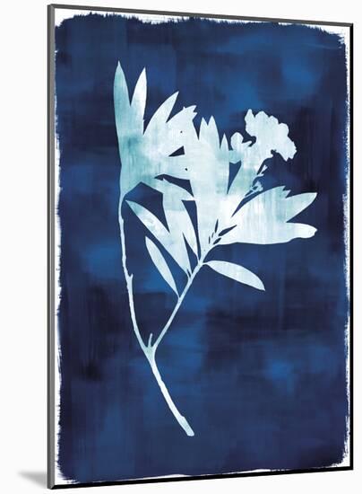 Herbarium - Alpha-Tania Bello-Mounted Giclee Print