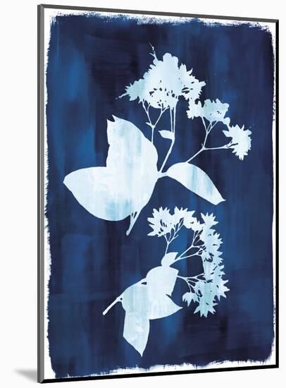 Herbarium - Beta-Tania Bello-Mounted Giclee Print