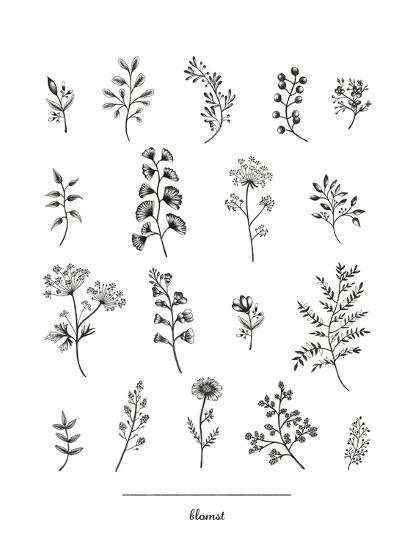 'Herbarium Blomst' Giclee Print - Lucy Francis | Art.com